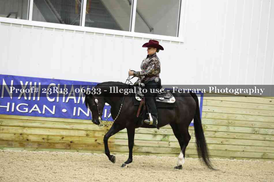 Proof 23R13_06533
