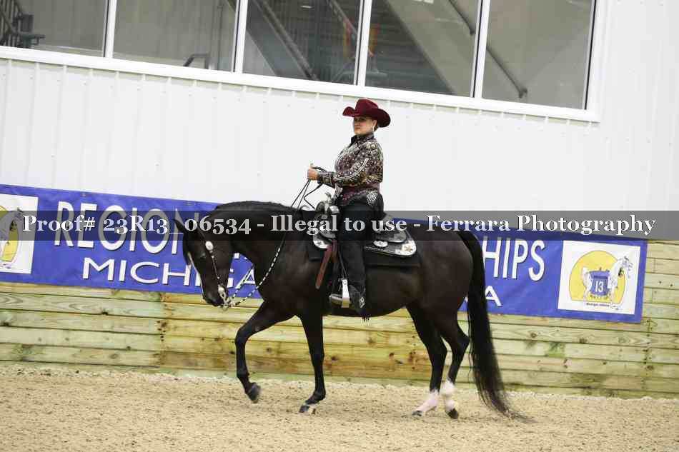Proof 23R13_06534