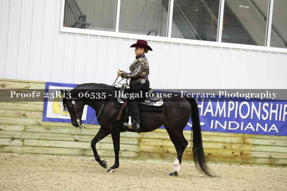 Proof 23R13_06535