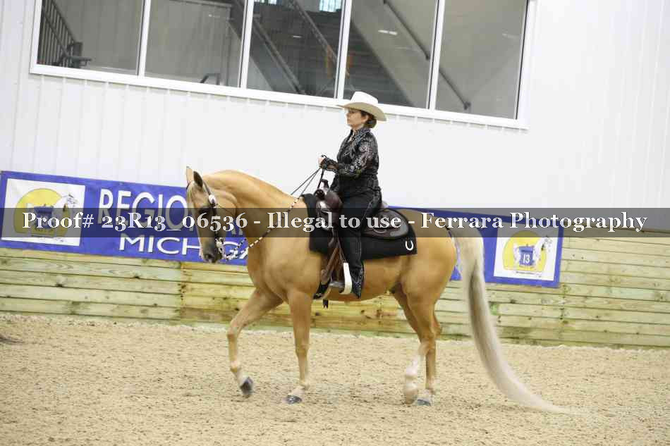 Proof 23R13_06536