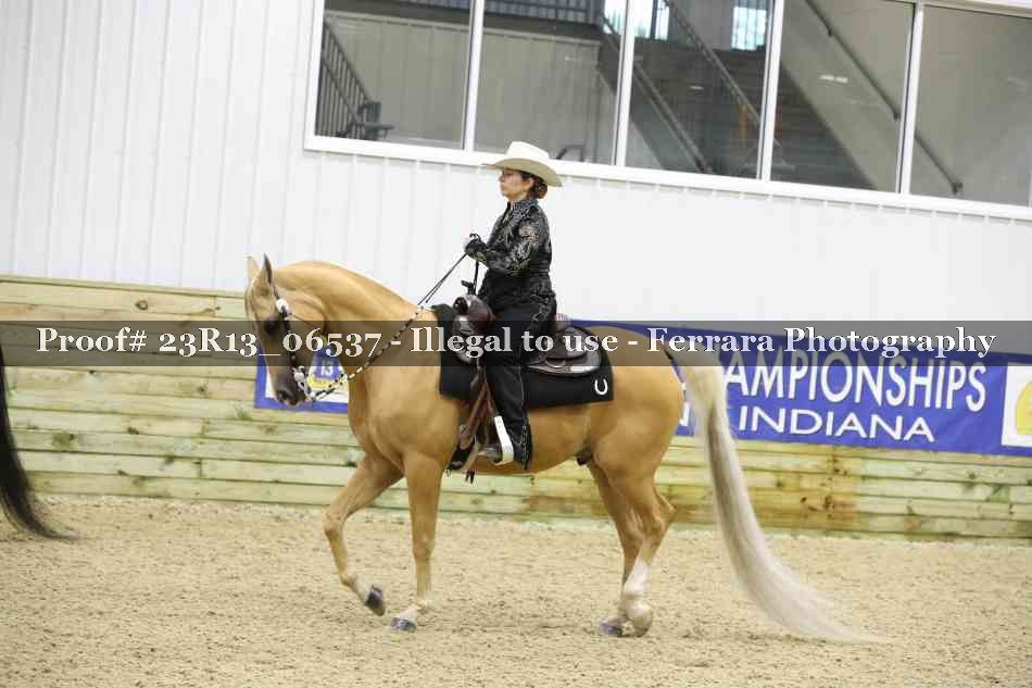 Proof 23R13_06537