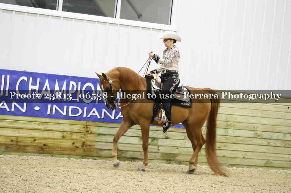 Proof 23R13_06538