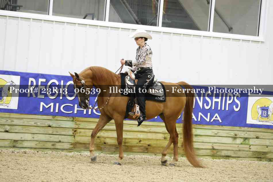 Proof 23R13_06539