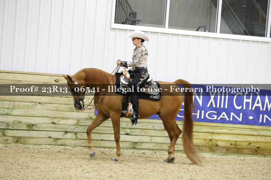 Proof 23R13_06541