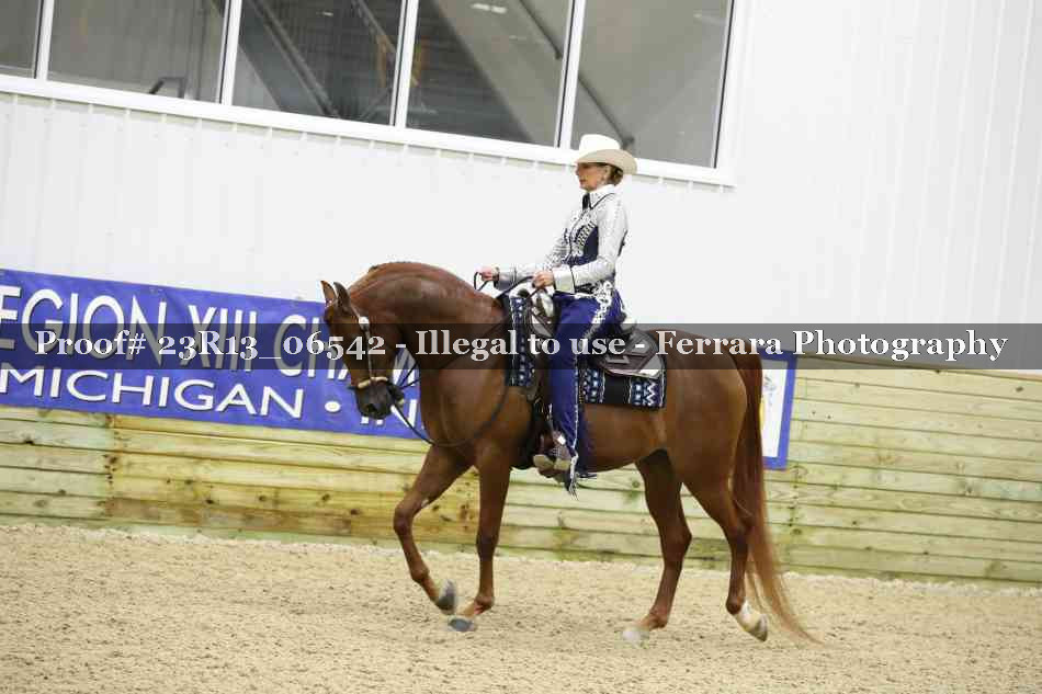 Proof 23R13_06542