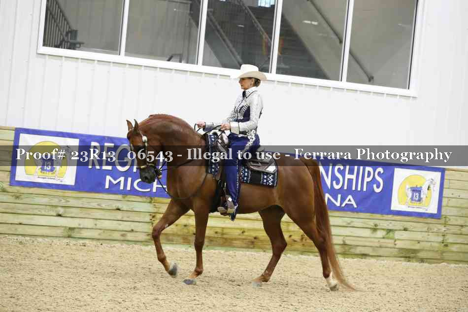 Proof 23R13_06543