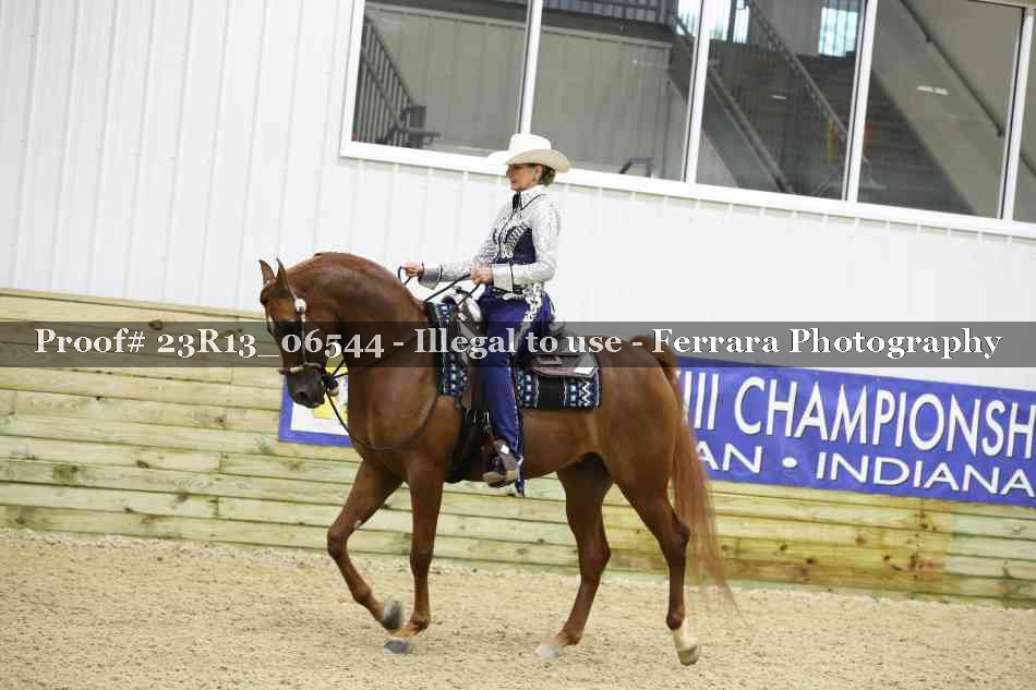 Proof 23R13_06544