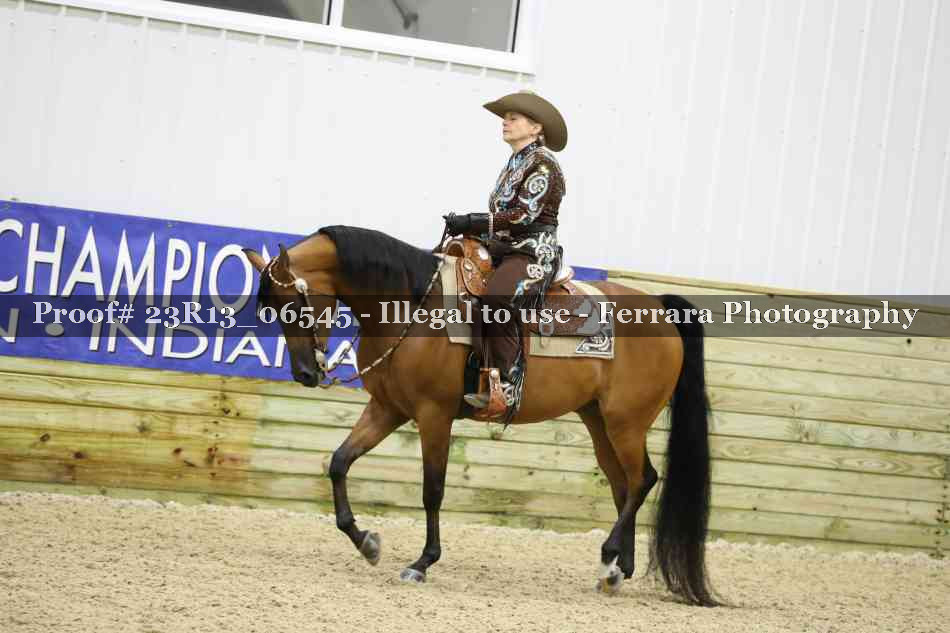 Proof 23R13_06545