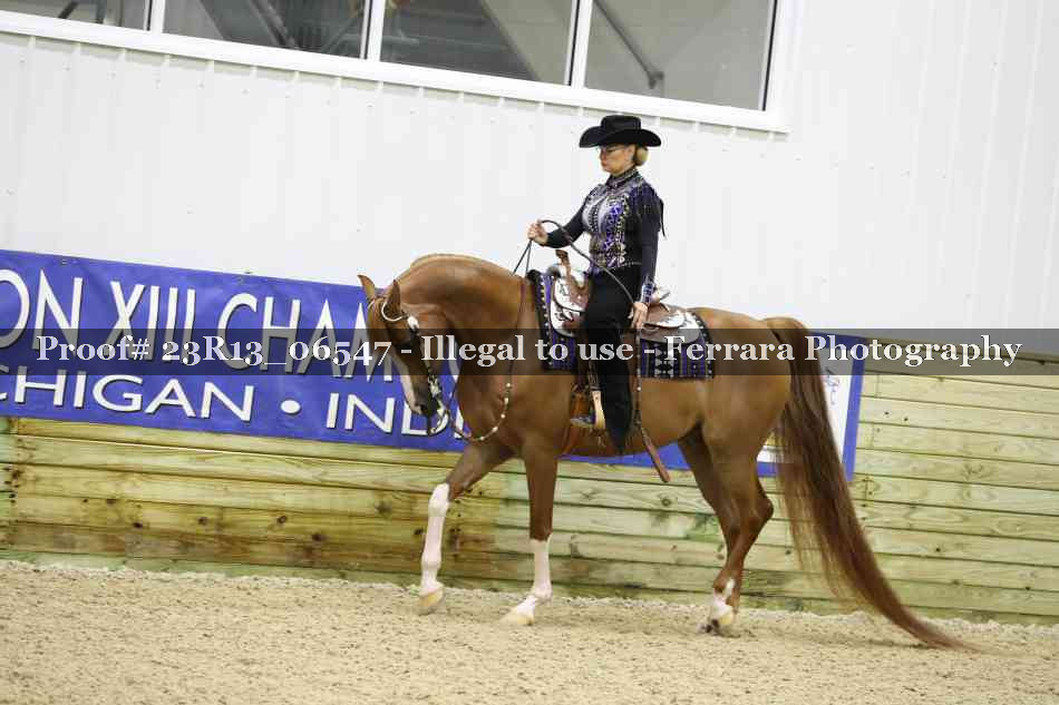 Proof 23R13_06547