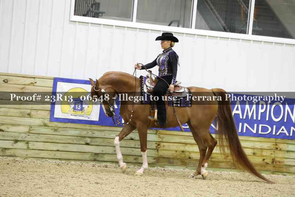 Proof 23R13_06548