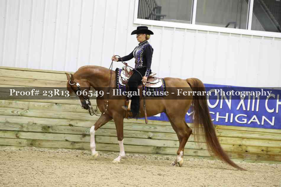 Proof 23R13_06549