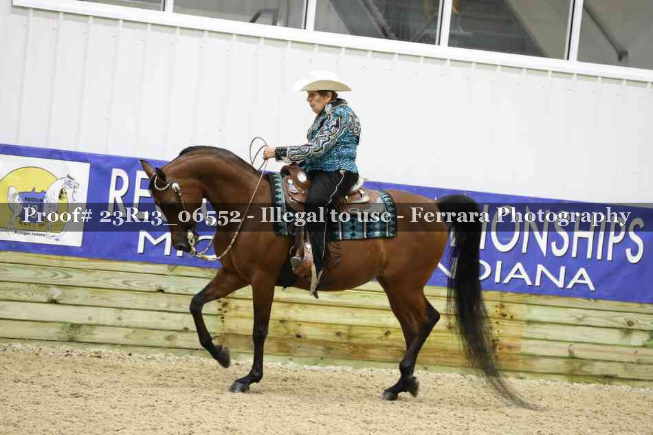 Proof 23R13_06552