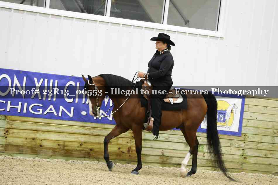 Proof 23R13_06553