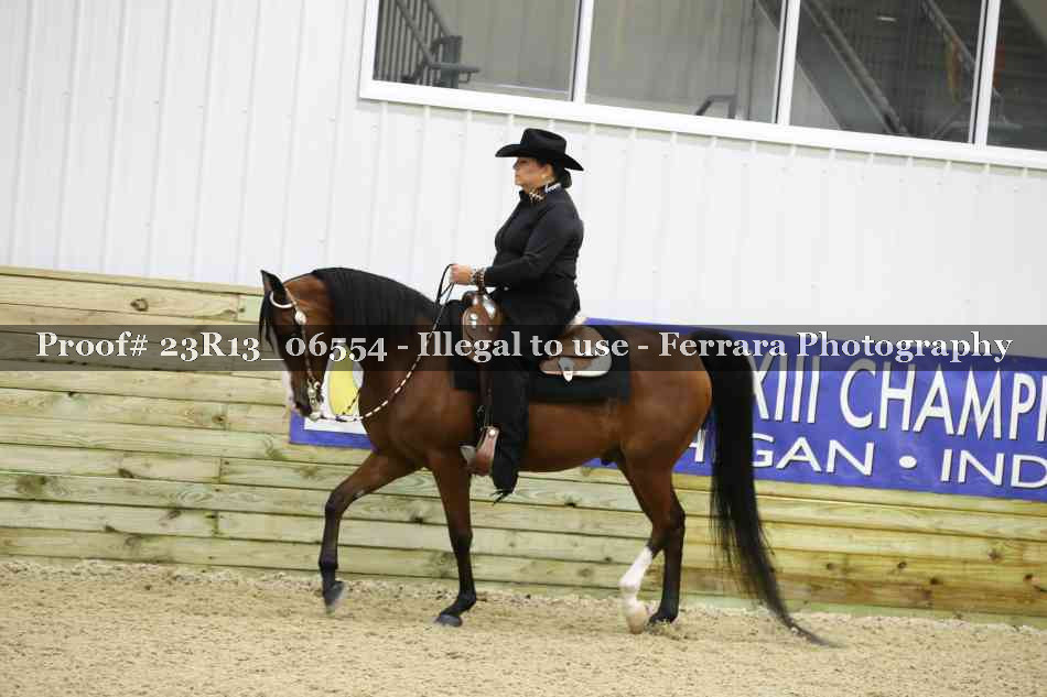 Proof 23R13_06554