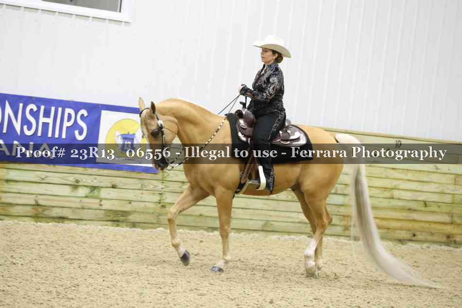 Proof 23R13_06556