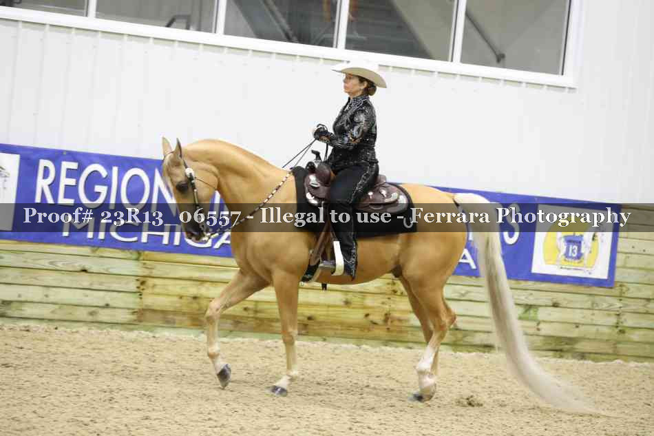 Proof 23R13_06557