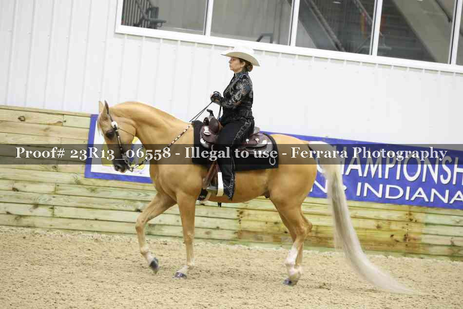 Proof 23R13_06558
