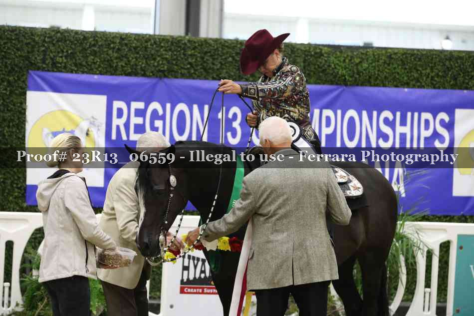 Proof 23R13_06559