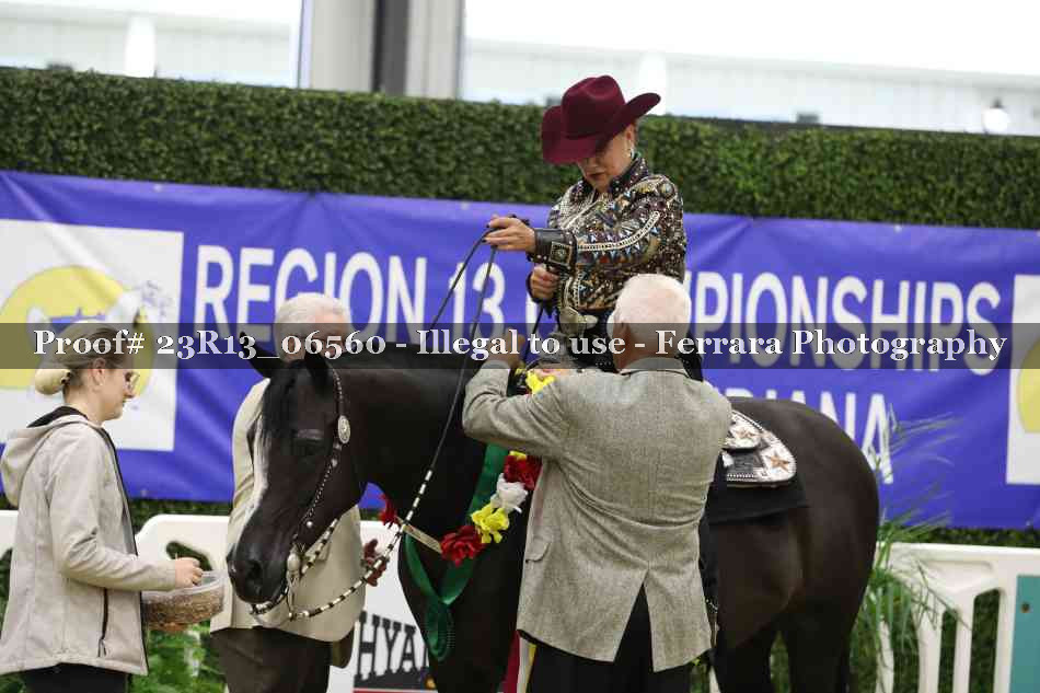 Proof 23R13_06560