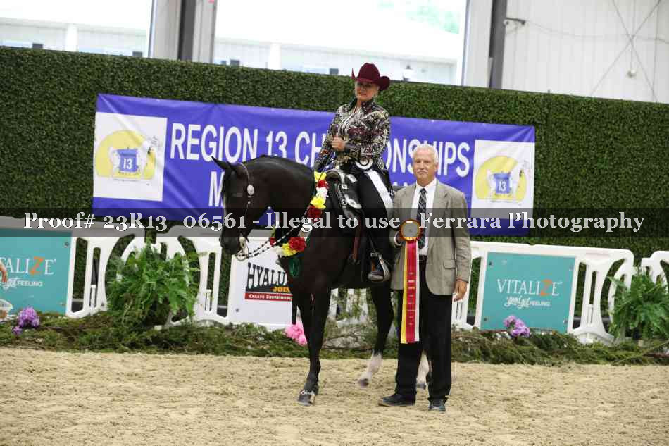Proof 23R13_06561