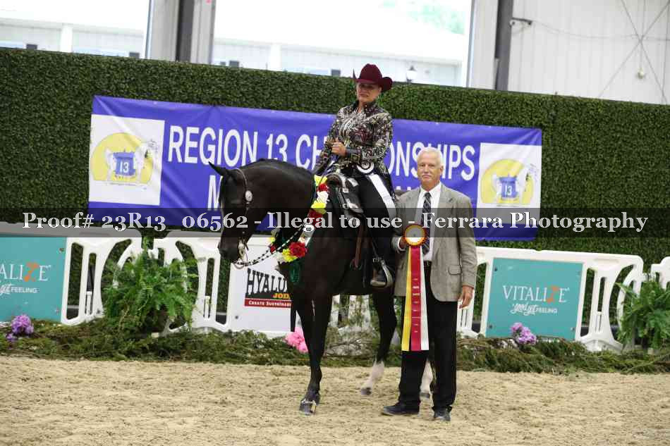 Proof 23R13_06562