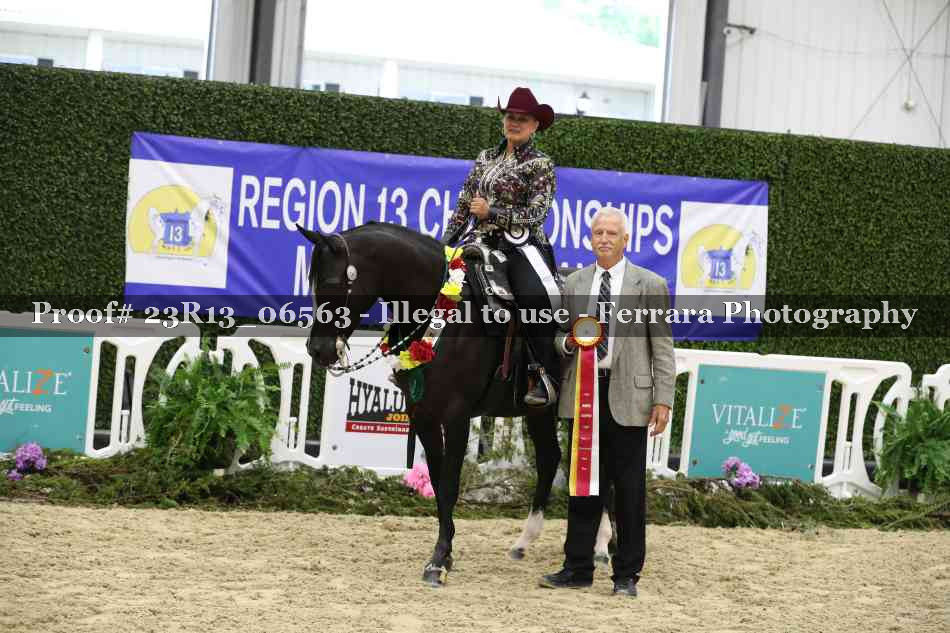 Proof 23R13_06563