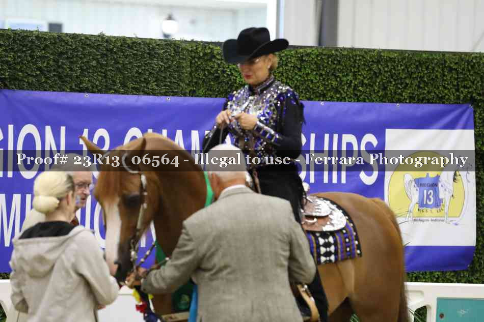 Proof 23R13_06564