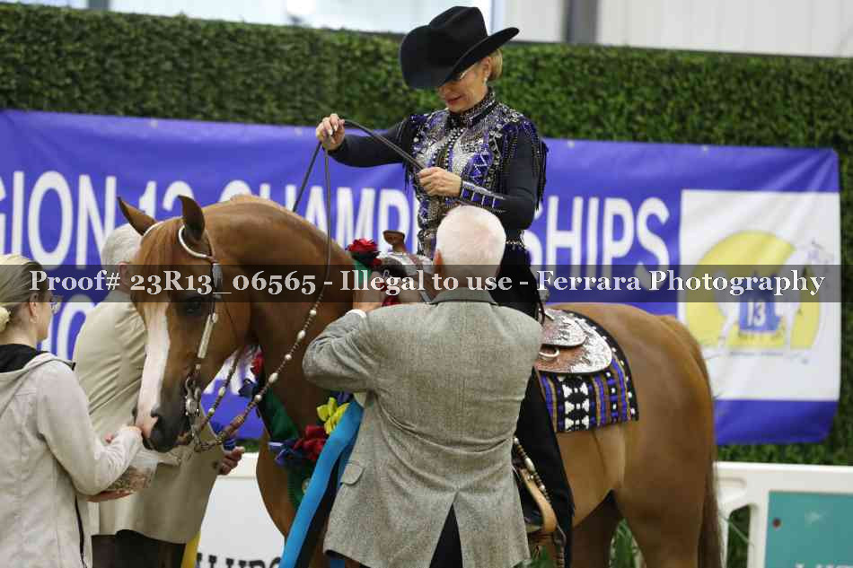 Proof 23R13_06565