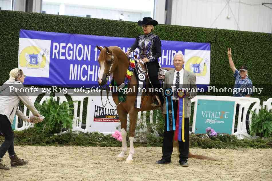 Proof 23R13_06566