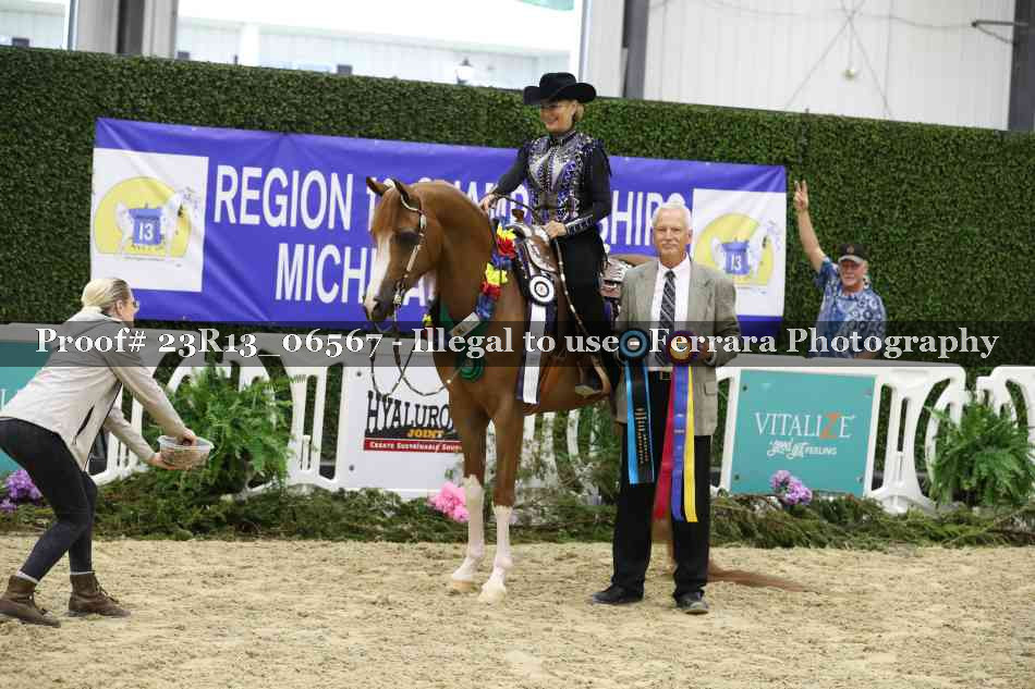 Proof 23R13_06567