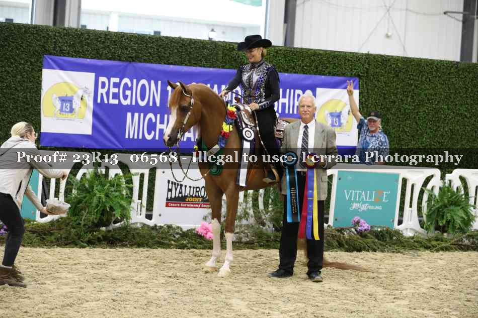 Proof 23R13_06568