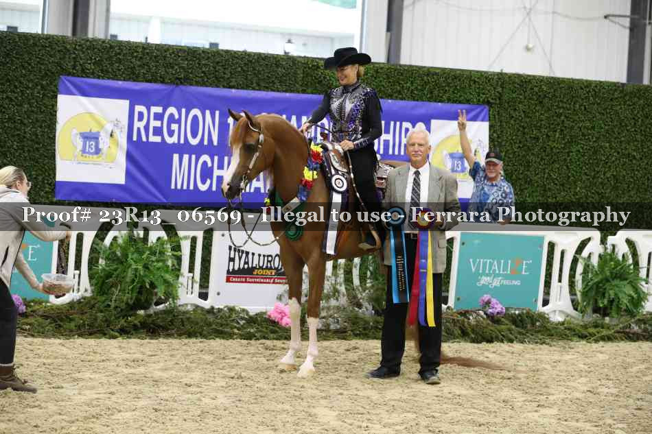 Proof 23R13_06569