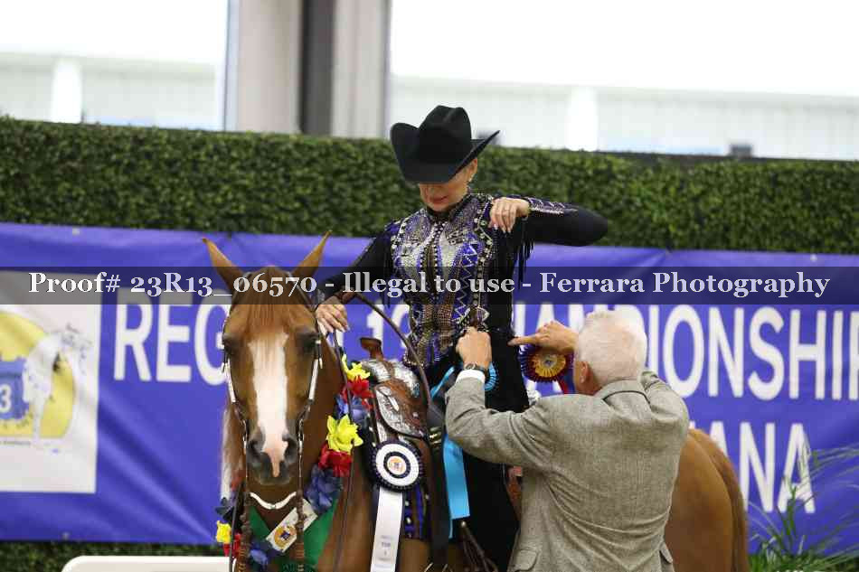 Proof 23R13_06570