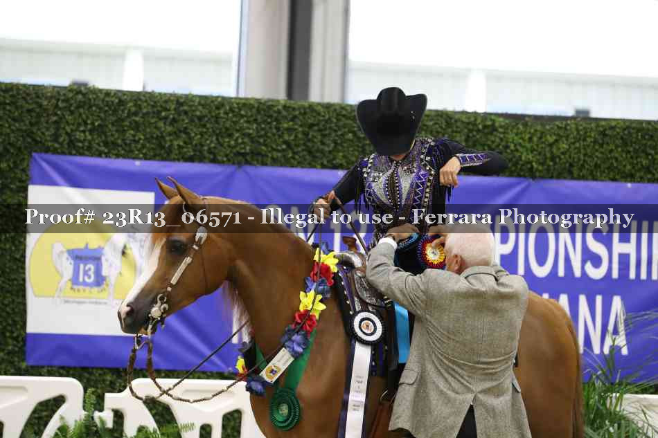 Proof 23R13_06571
