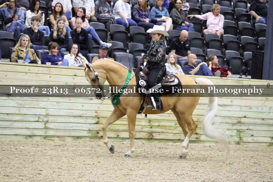 Proof 23R13_06572