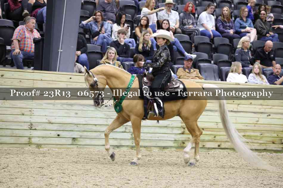 Proof 23R13_06573