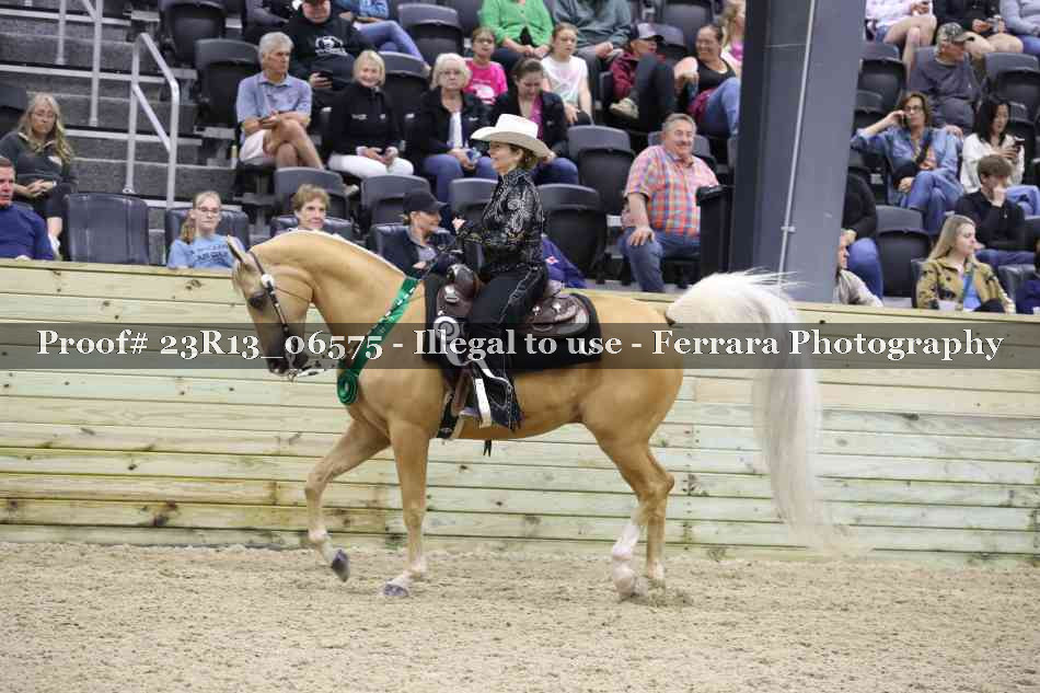 Proof 23R13_06575