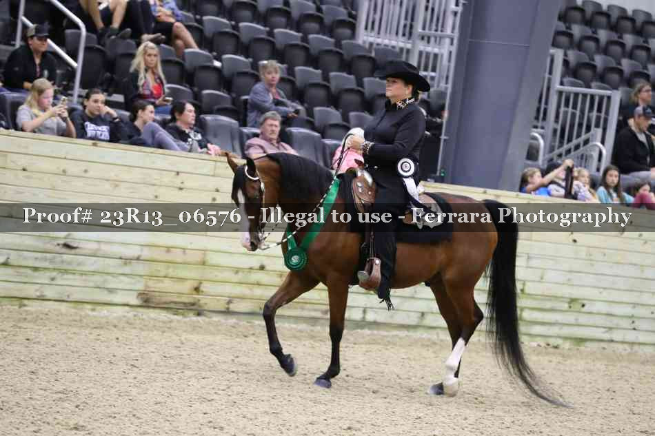 Proof 23R13_06576