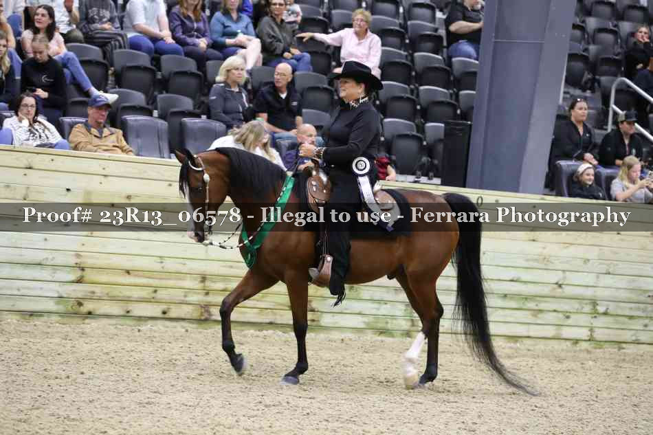 Proof 23R13_06578