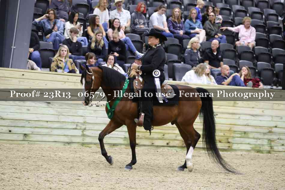 Proof 23R13_06579