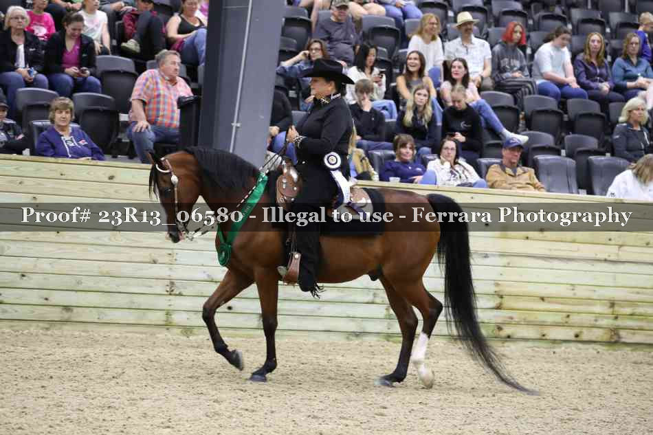 Proof 23R13_06580