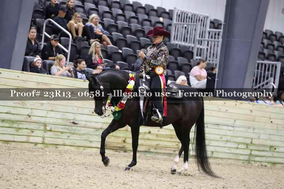 Proof 23R13_06581