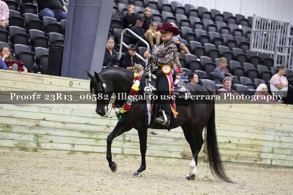 Proof 23R13_06582