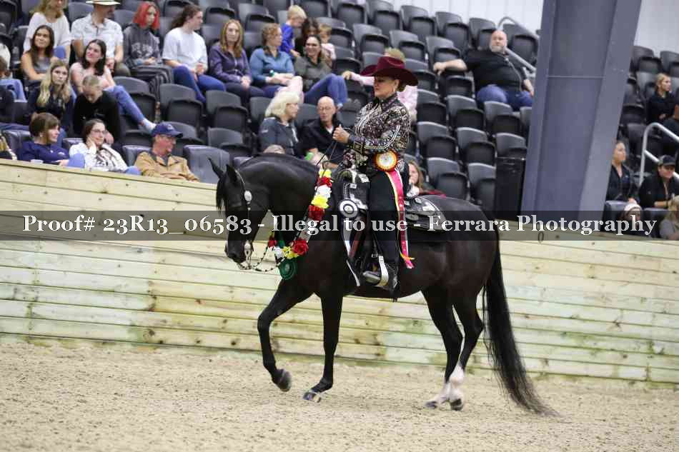 Proof 23R13_06583