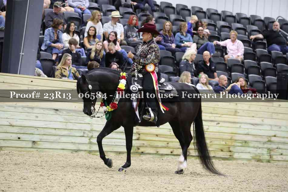 Proof 23R13_06584