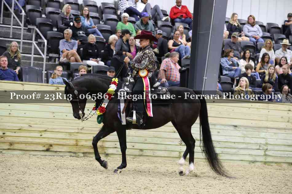 Proof 23R13_06586