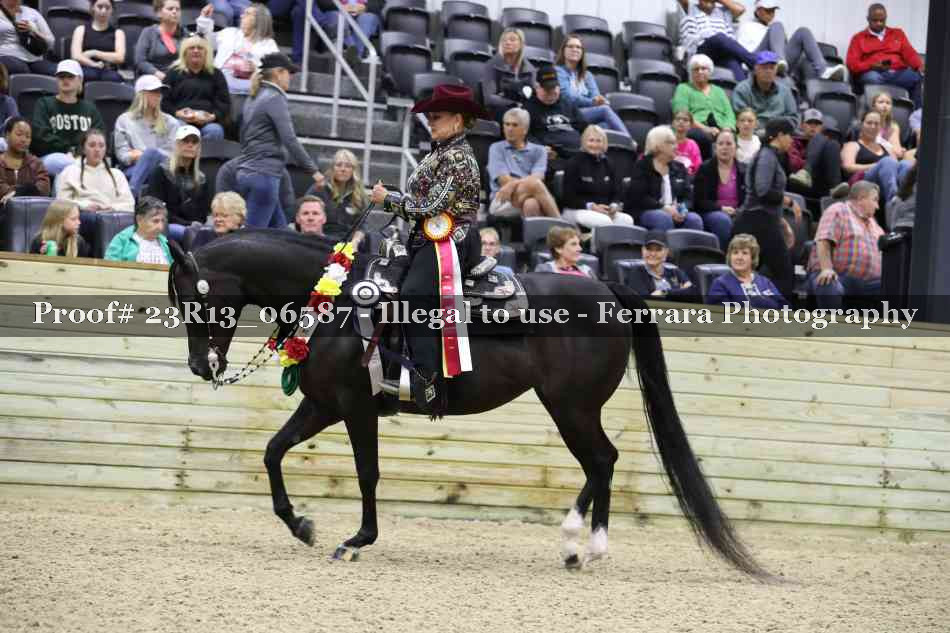 Proof 23R13_06587