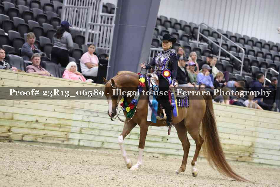 Proof 23R13_06589