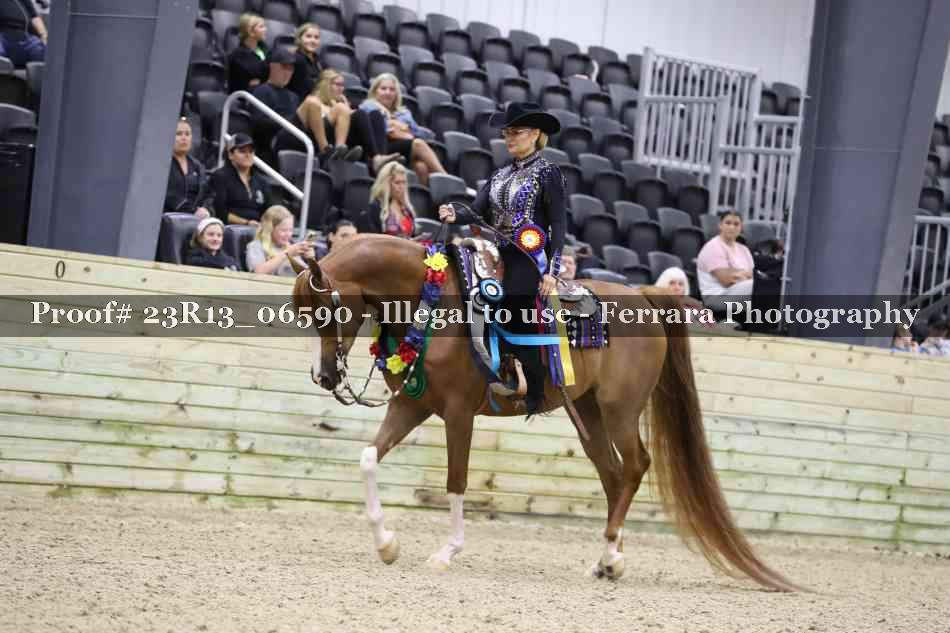 Proof 23R13_06590
