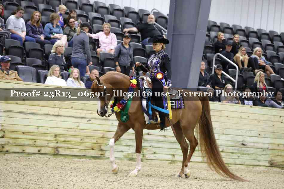 Proof 23R13_06591